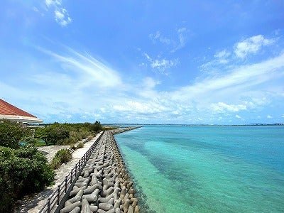 🏞️ 하마 어항 녹지 공원 (하마교코 료쿠치 코엔) 이미지 1